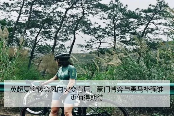 英超夏窗转会风向突变背后，豪门博弈与黑马补强谁更值得期待